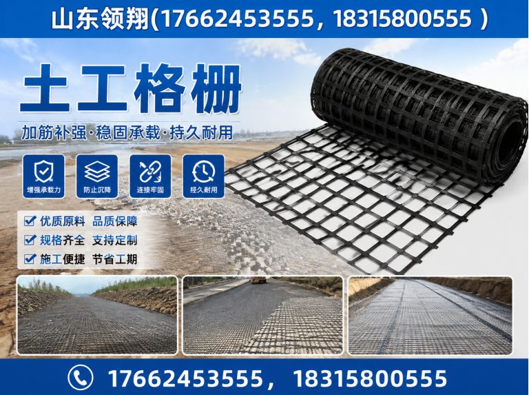 连云港土工格栅展示图